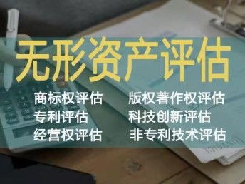 西安無(wú)形資產(chǎn)價(jià)值評(píng)估與相關(guān)服務(wù)解析